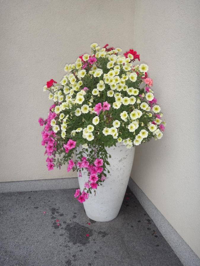 Appartement Fritzenwallner Wagrain Exterior foto